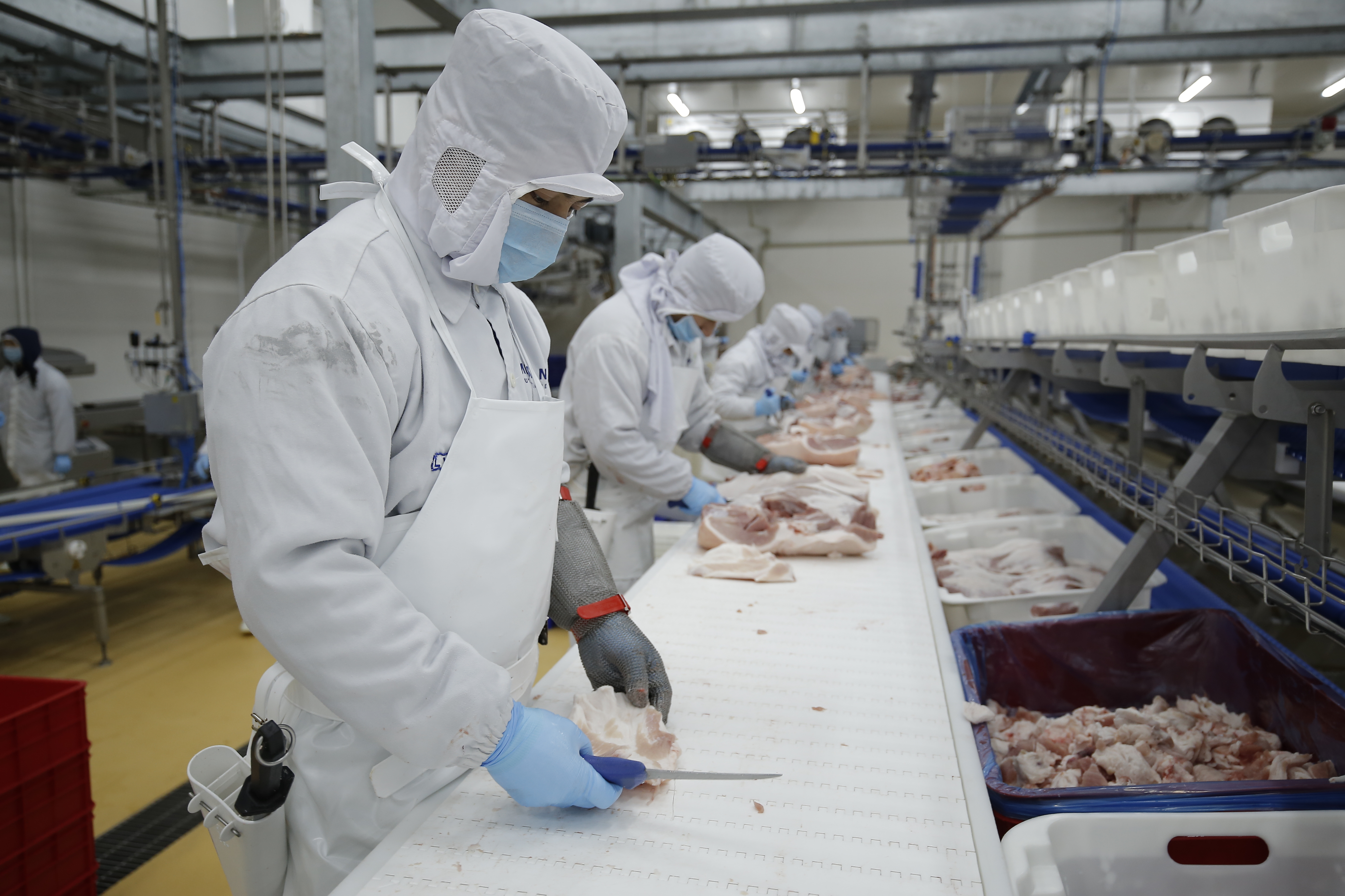 Masan MEATLife shares were successfully allocated to individual investors
